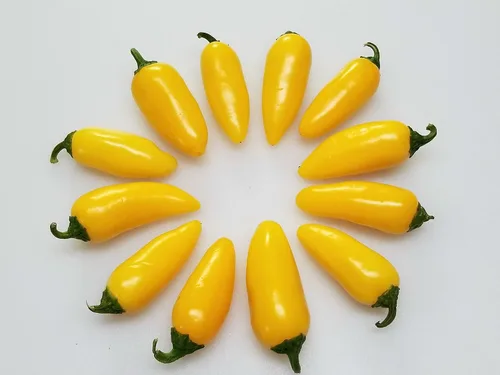 Vista 2 de NuMex Lemon Spice Jalapeño Pepper 10+ Semillas