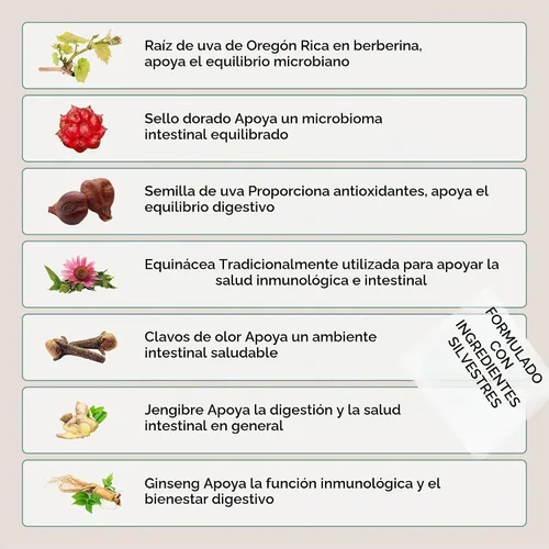 Vista 3 de Zuma Nutrition Candida Support Tonic, líquido de hierbas veganas con clavo, jengibre, ginseng, equinácea y extracto de semilla de uva, suplemento