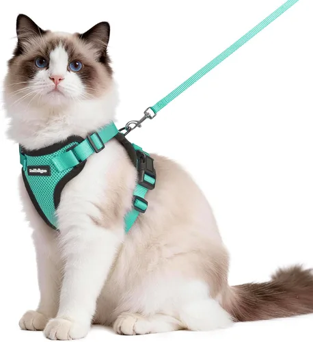 Vista 34 de rabbitgoo Cat Harness and Leash Set, Escape Proof Vest, XXS, Berry Pounce Soft Breathable Mesh, No-choke Adjustable Fit, Snap Buckles, Sturdy