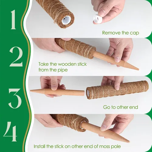 Vista 3 de Pisol Poste de musgo para plantas Monstera, soporte extensible, estacas para plantas en maceta de interior, enrejado de poste de fibra de coco