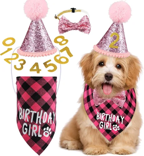 Vista 10 de Weewooday Suministros para Fiesta de Cumpleaños de Perro, Pañuelo de Cumpleaños para Niño y Niña, Bufanda Triangular, Sombrero de Fiesta, Corbata