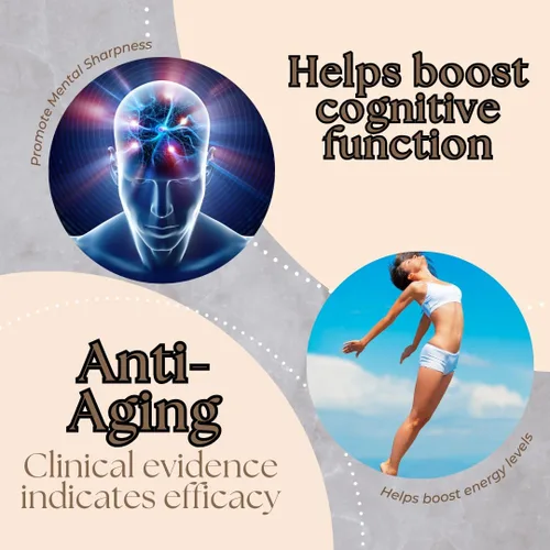 Vista 3 de Research Labs NMNH liposomal (alternativa al suplemento NMNN) 500 mg por porción 60 cápsulas (mononucleótido de dihidronicinamida) Suplemento NAD