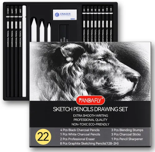 Vista 9 de PANDAFLY Juego de lápices de dibujo profesional, 12 lápices de grafito (14B a 2H), ideal para dibujar arte, bocetos, sombreado, lápices de artista