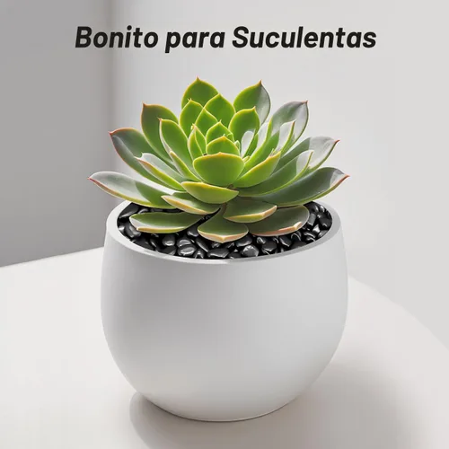 Vista 8 de Suministros para terrarios, piedras de río Virekm, guijarros ornamentales decorativos, piedras para paisajismo de jardín, grava de relleno