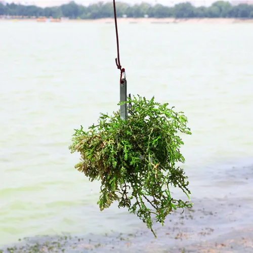 Vista 6 de Cortador de hierba para plantas acuáticas con extractor de malezas Paracord de 49.2 ft, cortador de malezas acuáticas, cuchillo de hierba de agua