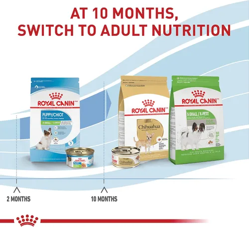 Vista 6 de De Royal Canin, Size Health Nutrition, comida seca para cachorros extra pequeños, comida para perros Specialized Nutrition for Extra Small Breeds