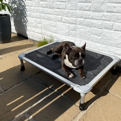 Vista 98 de Veehoo Cama elevada para perros a prueba de mordidas - Cuna elevada refrescante para mascotas - Marco de aluminio plateado y tela de malla