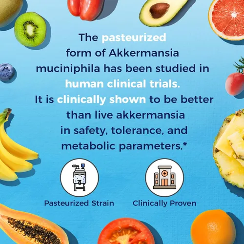 Vista 4 de Vitalitown Akkermansia Probiotic GLP-1 con inulina de achicoria 2 mil millones de TFU Probióticos Akkermansia Muciniphila para hombres y mujeres