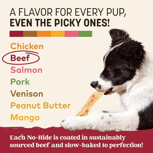 Vista 5 de Earth Animal Tiras sin ocultar - Tiras masticables naturales para perros sin cuero crudo, de ternera - 4 unidades Long Strips Beef Flavored
