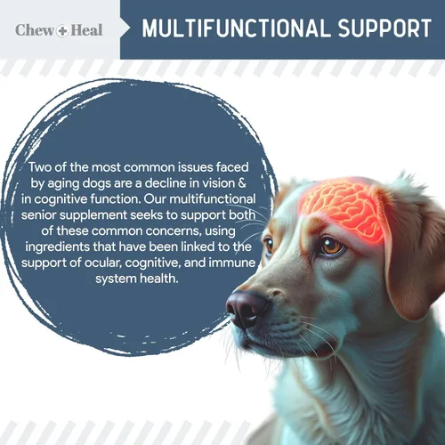 Vista 7 de Suplemento de visión y cognición para perros mayores, 60 masticables para el cuidado de los ojos y la memoria Senior Dog Vision and Cognición
