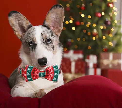 Vista 4 de Collar de Navidad para perro con pajarita, collar de perro de copo de nieve con tira roja y verde, suave, duradero, ajustable, de algodón