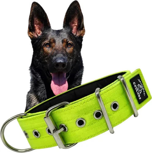 Vista 15 de SparkDog - Collar de perro resistente de 1.5 pulgadas, correa ajustable de grado de cinturón de seguridad con herrajes de acero inoxidable
