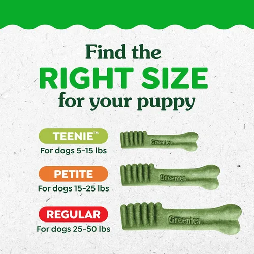 Vista 12 de Greenies Golosinas dentales naturales recomendadas por veterinarios para cachorros, tamaño pequeño, golosinas dentales para perros, paquete de 6