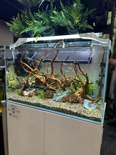 Vista 3 de Sustrato de acuario natural aguamarina, grava perla de medianoche, 20 libras