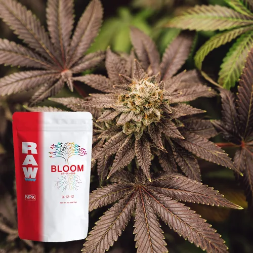 Vista 5 de RAW Todo en uno Bloom 2oz – Nutrición integral de plantas para flores florecientes – Uso hidropónico en interiores y exteriores