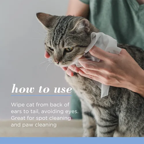 Vista 8 de Burts Bees for Pets - Toallitas de aseo para gatitos con suero de leche, 50