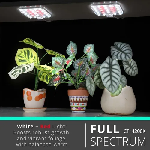 Vista 2 de Luz LED de espectro completo para cultivo de plantas de interior, 2 paneles de 10 W con temporizador de 6/12/16 horas, luces regulables para plantas