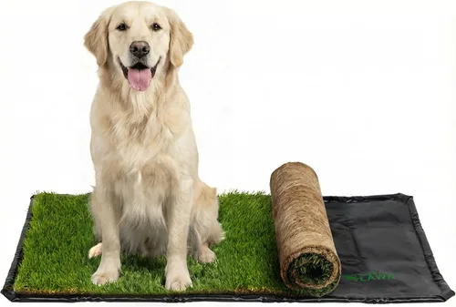 Vista 10 de DoggieLawn Orinal para perros - Hierba real - XL 24 x 48 pulgadas