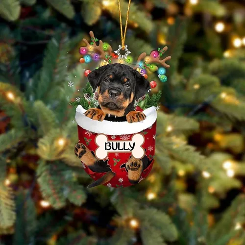 Vista 121 de IZI POD Affenpinscher Adorno de Navidad personalizado para perro, adorno de bolsillo de nieve para perro para árbol de Navidad, adorno acrílico