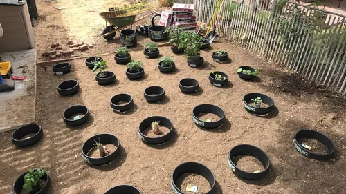 Vista 5 de Paquete de 3 16 anillos de plantación (anillo sólido) – Cuencas de riego para tomates, verduras y flores Bordes de jardín y retención de agua