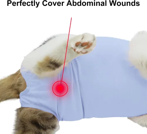 Vista 5 de Traje de recuperación para gatos, ropa de recuperación quirúrgica para heridas abdominales o enfermedades de la piel, mameluco de gatos después