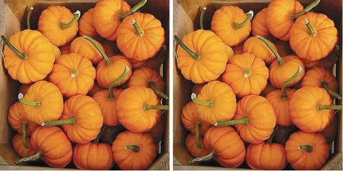 Vista 6 de Semillas de calabaza Jack Be Little de 4" - reliquia