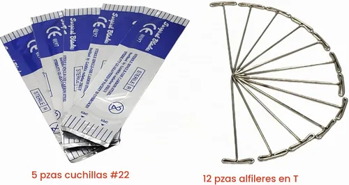 Vista 3 de Kit de disección Precision Plus – Kit de biología de 24 piezas – 9 instrumentos de acero inoxidable – Cuchillas adicionales y pasadores en T