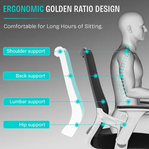 Vista 4 de SUNNOW Silla de oficina, silla ergonómica de escritorio para computadora, silla ejecutiva resistente, soporte lumbar ajustable, brazos abatibles