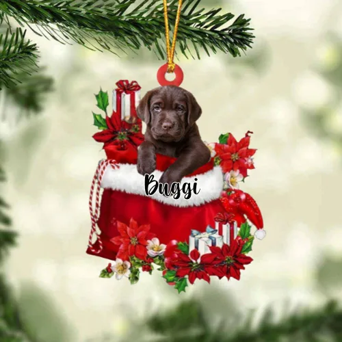 Vista 47 de Perro Akita Inu personalizado en bolsa de regalo, adorno de Navidad, nombre personalizado, regalo para amantes de los perros, familia, Navidad