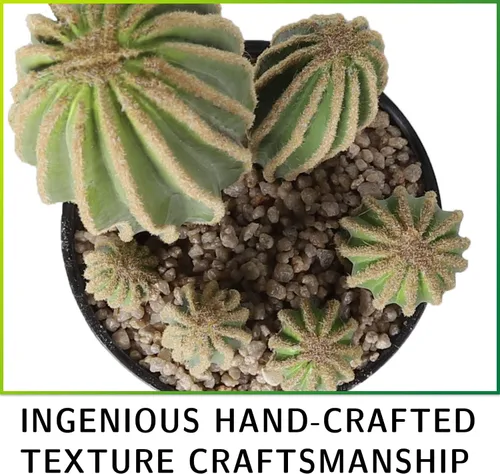 Vista 4 de Cactus artificiales de cactus falsos de 16 pulgadas para decoración del hogar, jardín, oficina, tienda