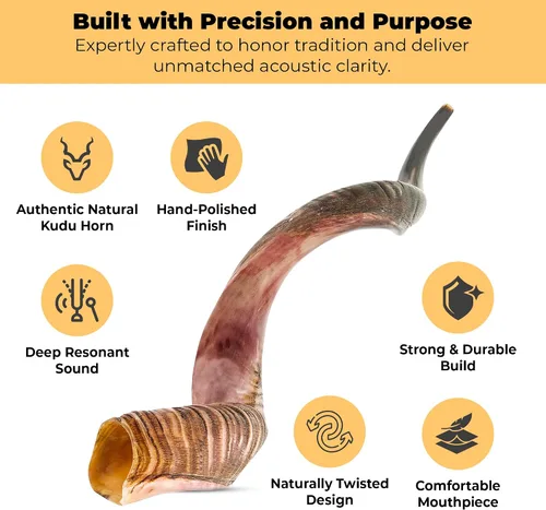 Vista 3 de YOMTOV-SHALOM Kudu Shofar a la venta Kosher de Israel Reyes Shofar Fábrica original de Shofar (13-18)