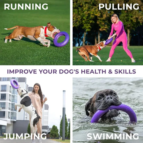 Vista 4 de COLLAR Juguete de Anillo para Exteriores - Búsqueda y Tirón de Guerra para Perros Pequeños, Medianos y Grandes - Bola y Soft Frisbee Alternativo