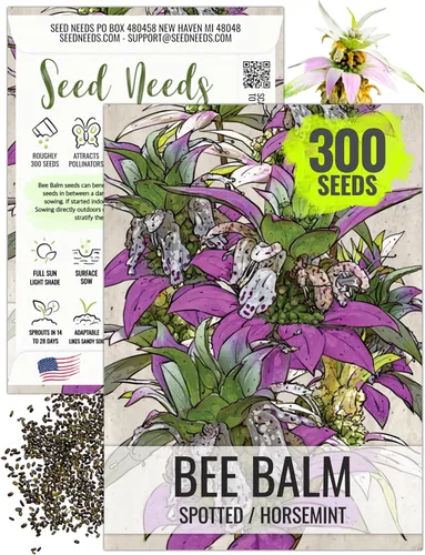 Vista 10 de Seed Needs Semillas de limón y menta para plantar hierbas anuales sin OMG, 1 paquete