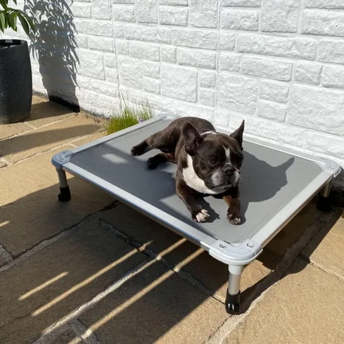 Vista 104 de Veehoo Cama elevada para perros a prueba de mordidas - Cuna elevada refrescante para mascotas - Marco de aluminio plateado y tela de malla