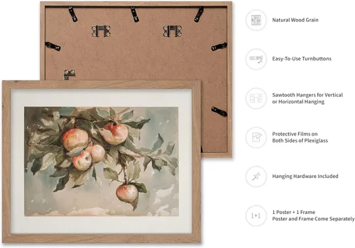 Vista 2 de Poster Master Póster vintage de estudio de manzanas, impresión retro de frutas muertas - Arte de acuarela - Arte de frutas - Regalo para hombres