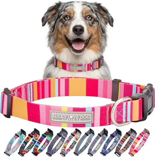 Vista 41 de Lucky Love Dog - Collar para perras pequeñas, diseño Blackbird de estampado alegre con flores de primavera y verano, talla XS Collar Blackbird
