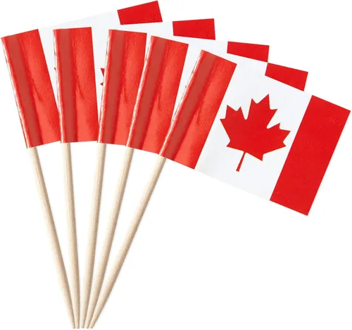 Vista 11 de GentleGirl 100 banderas australianas con palillos de dientes de Australia, pequeñas mini decoraciones australianas para cupcakes