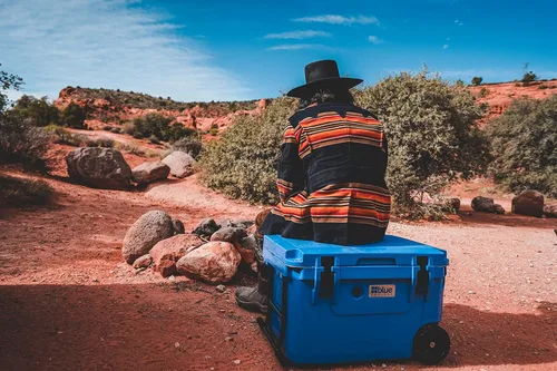Vista 3 de Blue Coolers Ice Vault – 60 Quart Roto-Molded Ice Cooler with Wheels Large Ice Chest Holds Ice up to 10 Days Blanco ártico con ruedas