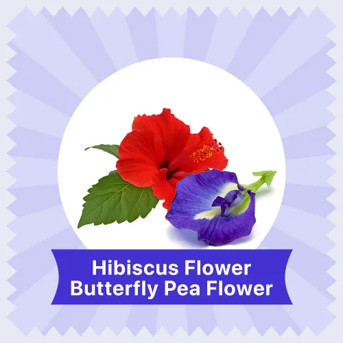 Vista 6 de BLUE TEA - Combo de té de hierbas - Té de rosas (0.88 onzas) + té de flor de guisante mariposa (0.88 onzas) + té de hibisco (1.76 onzas)