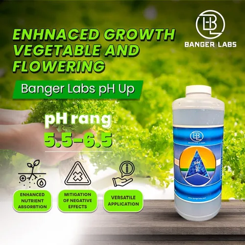Vista 3 de Solución prémium de pH Up: corrige los desequilibrios de pH, maximiza la absorción de nutrientes, previene las plantas enfermizas, ajuste del pH