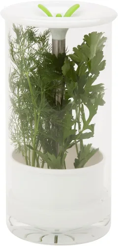 Vista 2 de Conservador de hierbas de vidrio Honey-Can-Do, modelo KCH-06398, transparente/blanco
