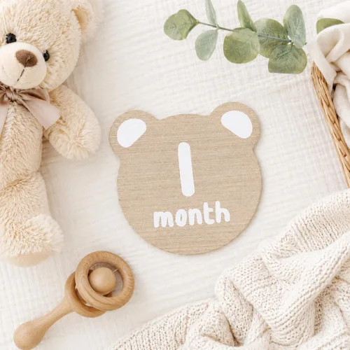 Vista 7 de Kate & Milo Teddy Bear - Discos marcadores de hitos para bebé, 1-12 meses Oso