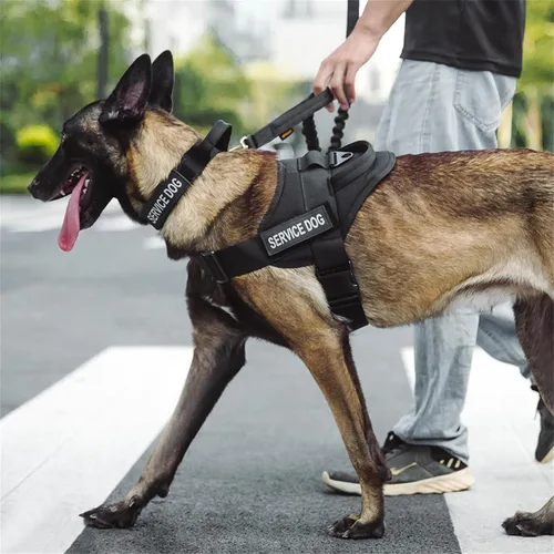 Vista 6 de EXCELLENT ELITE SPANKER - Arnés táctico para perro, fácil control Adjustable Nylon Training Military Patrol No-Pull Pet Harness with Handle for