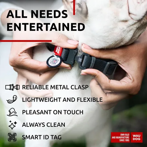 Vista 4 de WAUDOG Collar de perro impermeable – Collar ajustable para perros grandes, pequeños y medianos – Collares resistentes con cierre de metal duradero