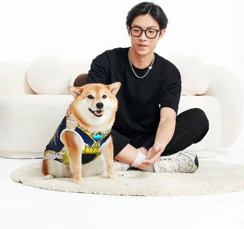 Vista 5 de Chaqueta clásica de ansiedad para perros, ropa cómoda para mascotas para gatos y perros, abrigo solar de corazón de dibujos animados para perros