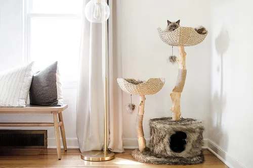 Vista 2 de Torre de Árbol para Gatos Moderna, Condominio de Lujo con Ramas Reales, Torre de Gatos de Madera, Árbol para Rascar Gatos, Condominio para Gatos