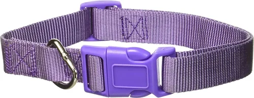 Vista 13 de Zack & Zoey Collar de perro de nailon de ancho, se adapta a cuellos de 6 a 10 pulgadas, Bluebird
