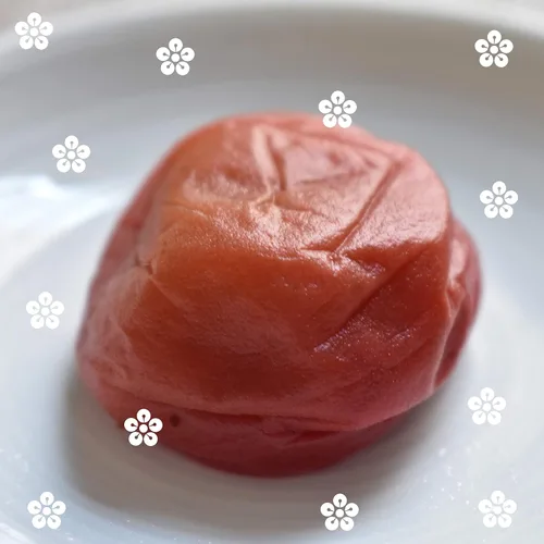 Vista 7 de YAMASAN KYOTO UJI Mezcla de hierbas Shiso Kishu Umeboshi Ciruela