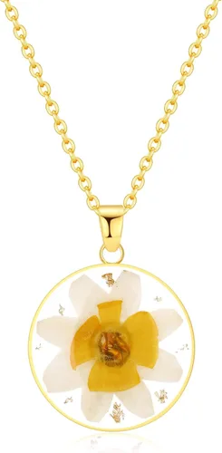 Vista 50 de Forget-Me-Not and Queen Anne's Lace Pressed Wildflower Necklace Birth Month Real Flower Necklace Gold/Silver Pressed Flower Jewelry