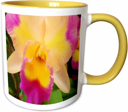 Vista 9 de 3dRose Florene Flores – Gorgeous Orquídea – Tazas, Negro/Blanco
